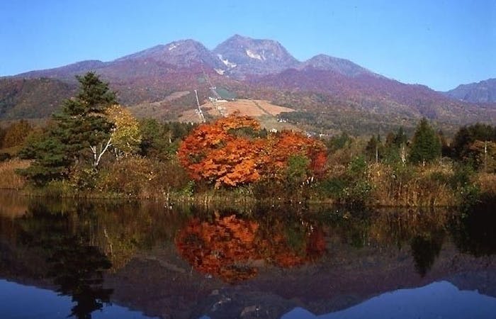上越 糸魚川 妙高紅葉21 上越 糸魚川 妙高 秋の風物詩 紅葉を愉しむ 紅葉おすすめ人気スポット4選 一休 Comレストラン 上越 糸魚川 妙高紅葉21 上越 糸魚川 妙高 秋の風物詩 紅葉を愉しむ 紅葉おすすめ人気スポット4選 一休 Comレストラン