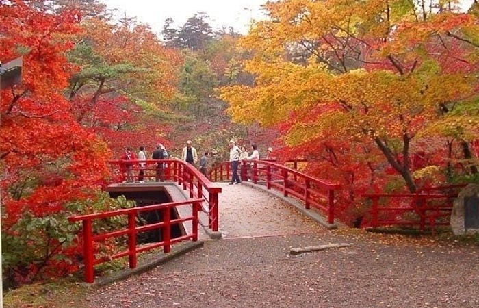 燕 三条 岩室 弥彦紅葉21 燕 三条 岩室 弥彦 秋の風物詩 紅葉を愉しむ 紅葉おすすめ人気スポット2選 一休 Comレストラン 燕 三条 岩室 弥彦紅葉21 燕 三条 岩室 弥彦 秋の風物詩 紅葉を愉しむ 紅葉おすすめ人気スポット2選 一休 Comレストラン