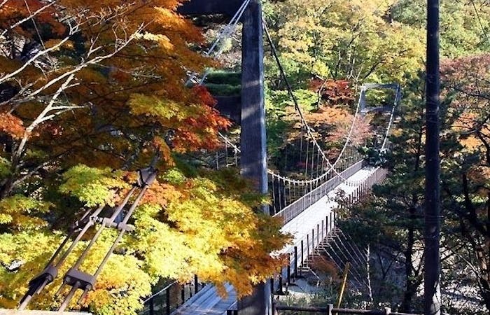 関川村紅葉21 関川村 秋の風物詩 紅葉を愉しむ 紅葉おすすめ人気スポット2選 一休 Comレストラン 関川村紅葉21 関川村 秋の風物詩 紅葉を愉しむ 紅葉おすすめ人気スポット2選 一休 Comレストラン