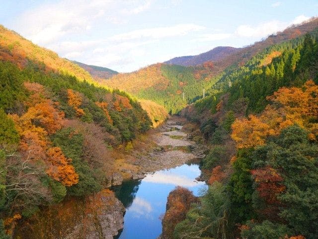 富山市紅葉22 富山市 秋の風物詩 紅葉を愉しむ 紅葉おすすめ人気スポット4選 一休 Comレストラン