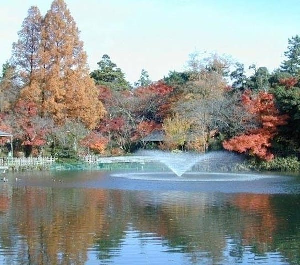 高岡古城公園 富山 高岡 人気紅葉スポット 一休 Comレストラン 高岡古城公園 富山 高岡 人気紅葉スポット 一休 Comレストラン
