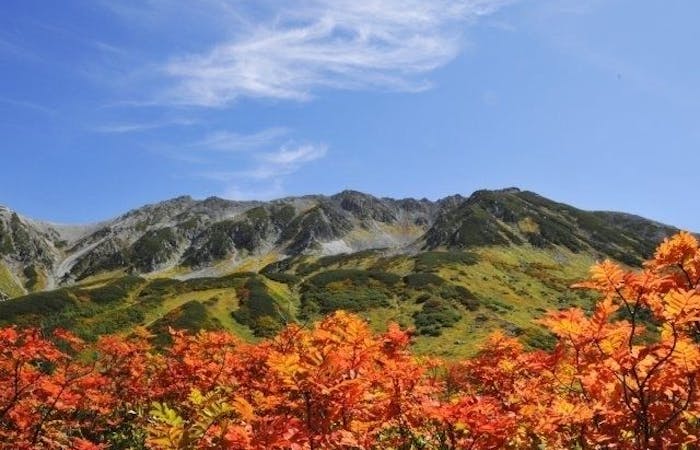 立山紅葉21 立山 秋の風物詩 紅葉を愉しむ 紅葉おすすめ人気スポット6選 一休 Comレストラン 立山紅葉21 立山 秋の風物詩 紅葉を愉しむ 紅葉おすすめ人気スポット6選 一休 Comレストラン