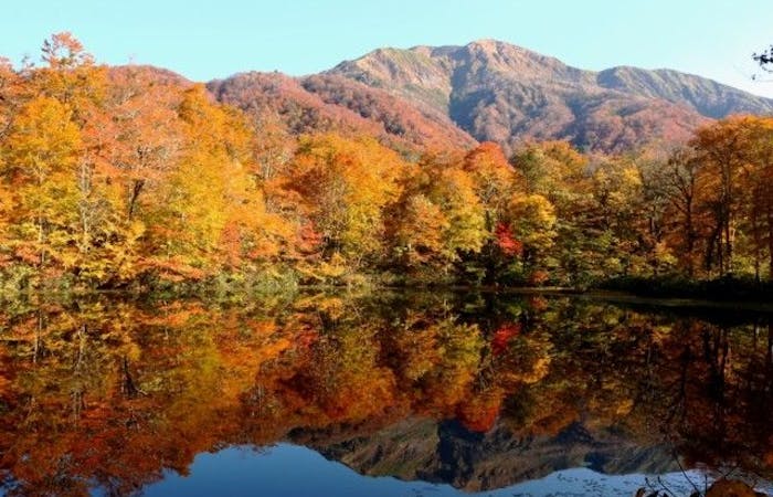 大野紅葉21 大野 秋の風物詩 紅葉を愉しむ 紅葉おすすめ人気スポット5選 一休 Comレストラン 大野紅葉21 大野 秋の風物詩 紅葉を愉しむ 紅葉おすすめ人気スポット5選 一休 Comレストラン
