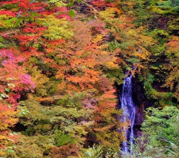 西沢渓谷 山梨 山梨市 人気紅葉スポット 一休 Comレストラン 西沢渓谷 山梨 山梨市 人気紅葉スポット 一休 Comレストラン