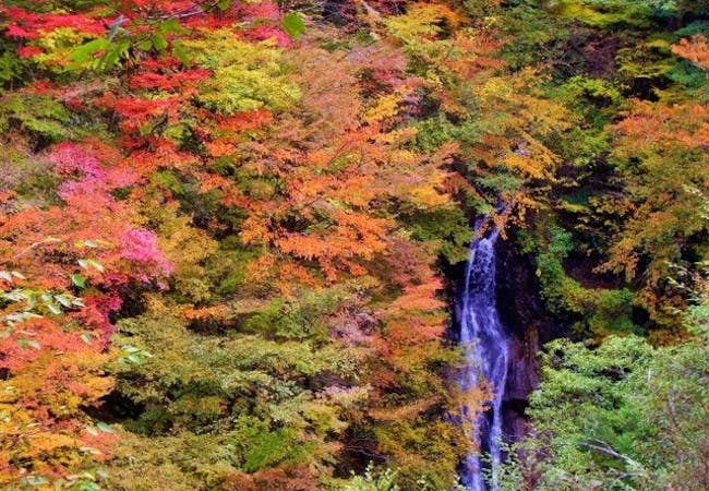山梨紅葉21 山梨 秋の風物詩 紅葉を愉しむ 紅葉おすすめ人気スポット26選 一休 Comレストラン 山梨紅葉21 山梨 秋の風物詩 紅葉を愉しむ 紅葉おすすめ人気スポット26選 一休 Comレストラン