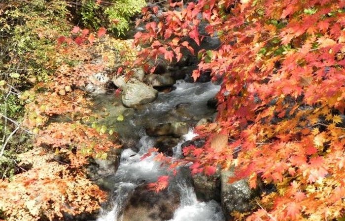 甲州紅葉21 甲州 秋の風物詩 紅葉を愉しむ 紅葉おすすめ人気スポット選 一休 Comレストラン 甲州紅葉21 甲州 秋の風物詩 紅葉を愉しむ 紅葉おすすめ人気スポット選 一休 Comレストラン