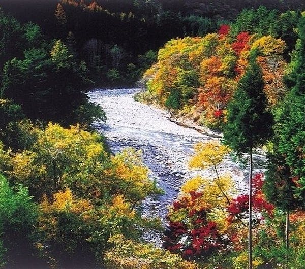 丹波渓谷 兵庫 丹波 人気紅葉スポット 一休 Comレストラン 丹波渓谷 兵庫 丹波 人気紅葉スポット 一休 Comレストラン