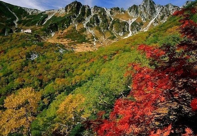 長野紅葉21 長野 秋の風物詩 紅葉を愉しむ 紅葉おすすめ人気スポット15選 一休 Comレストラン 長野紅葉21 長野 秋の風物詩 紅葉を愉しむ 紅葉おすすめ人気スポット15選 一休 Comレストラン