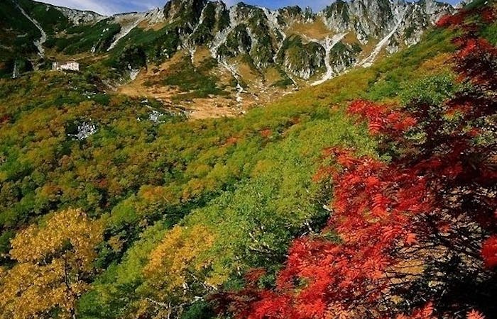 駒ヶ根紅葉21 駒ヶ根 秋の風物詩 紅葉を愉しむ 紅葉おすすめ人気スポット1選 一休 Comレストラン 駒ヶ根紅葉21 駒ヶ根 秋の風物詩 紅葉を愉しむ 紅葉おすすめ人気スポット1選 一休 Comレストラン