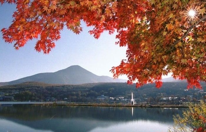 白樺湖 蓼科 車山紅葉22 白樺湖 蓼科 車山 秋の風物詩 紅葉を愉しむ 紅葉おすすめ人気スポット2選 一休 Comレストラン 白樺湖 蓼科 車山紅葉22 白樺湖 蓼科 車山 秋の風物詩 紅葉を愉しむ 紅葉おすすめ人気スポット2選 一休 Comレストラン