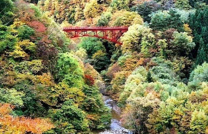 志賀高原紅葉 志賀高原 秋の風物詩 紅葉を愉しむ 紅葉おすすめ人気スポット5選 一休 Comレストラン