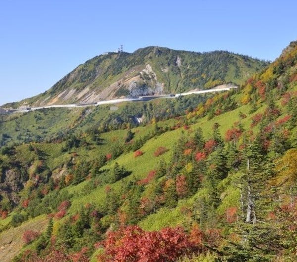 志賀高原 長野 志賀高原 人気紅葉スポット 一休 Comレストラン 志賀高原 長野 志賀高原 人気紅葉スポット 一休 Comレストラン