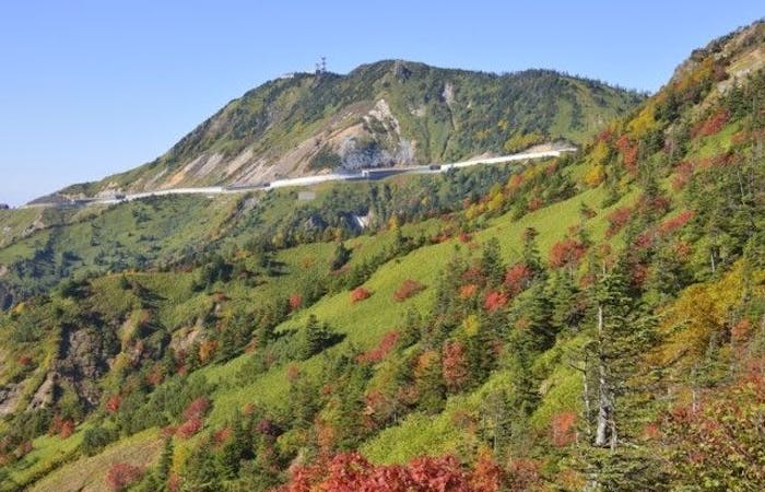 志賀高原紅葉21 志賀高原 秋の風物詩 紅葉を愉しむ 紅葉おすすめ人気スポット5選 一休 Comレストラン 志賀高原紅葉21 志賀高原 秋の風物詩 紅葉を愉しむ 紅葉おすすめ人気スポット5選 一休 Comレストラン