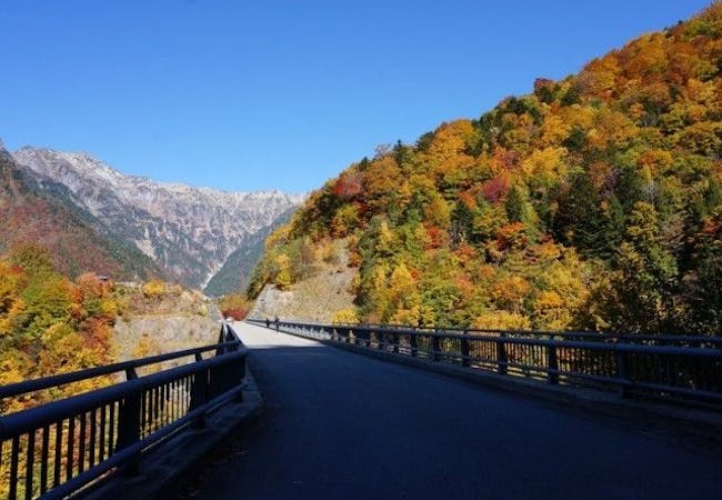 岐阜紅葉21 岐阜 秋の風物詩 紅葉を愉しむ 紅葉おすすめ人気スポット9選 一休 Comレストラン 岐阜紅葉21 岐阜 秋の風物詩 紅葉を愉しむ 紅葉おすすめ人気スポット9選 一休 Comレストラン