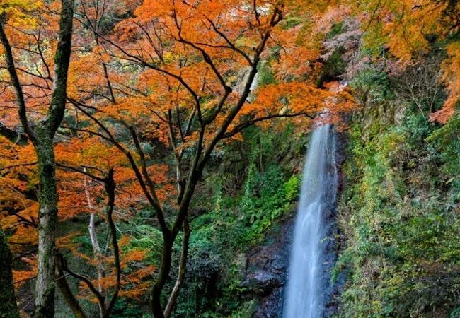 岐阜紅葉21 岐阜 秋の風物詩 紅葉を愉しむ 紅葉おすすめ人気スポット9選 一休 Comレストラン 岐阜紅葉21 岐阜 秋の風物詩 紅葉を愉しむ 紅葉おすすめ人気スポット9選 一休 Comレストラン