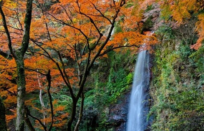 湯の山紅葉 湯の山 秋の風物詩 紅葉を愉しむ 紅葉おすすめ人気スポット6選 一休 Comレストラン