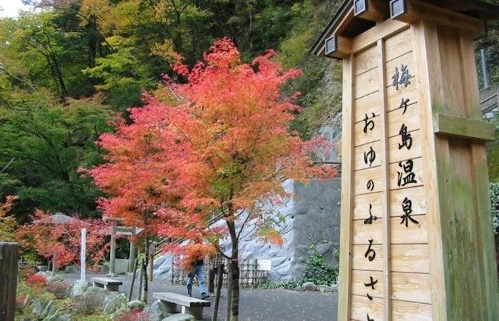 大井川 寸又峡 川根紅葉21 大井川 寸又峡 川根 秋の風物詩 紅葉を愉しむ 紅葉おすすめ人気スポット4選 一休 Comレストラン 大井川 寸又峡 川根紅葉21 大井川 寸又峡 川根 秋の風物詩 紅葉を愉しむ 紅葉おすすめ人気スポット4選 一休 Comレストラン
