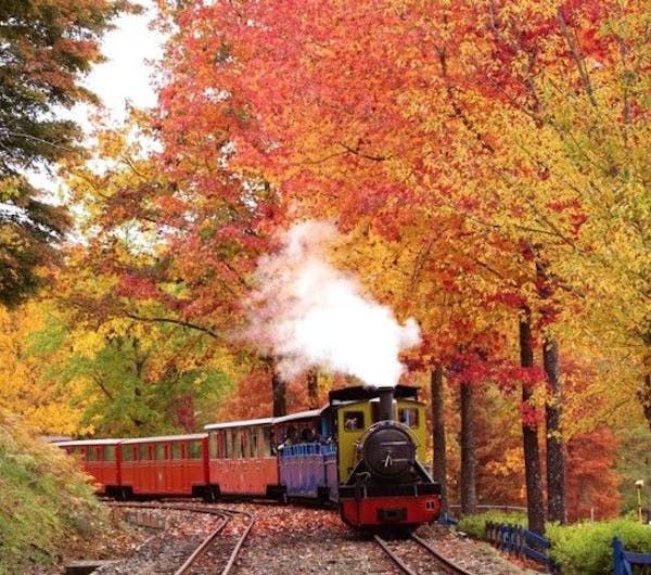 修善寺虹の郷 静岡 中伊豆 人気紅葉スポット 一休 Comレストラン