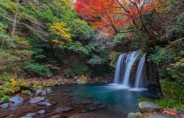 賀茂紅葉21 賀茂 秋の風物詩 紅葉を愉しむ 紅葉おすすめ人気スポット3選 一休 Comレストラン 賀茂紅葉21 賀茂 秋の風物詩 紅葉を愉しむ 紅葉おすすめ人気スポット3選 一休 Comレストラン