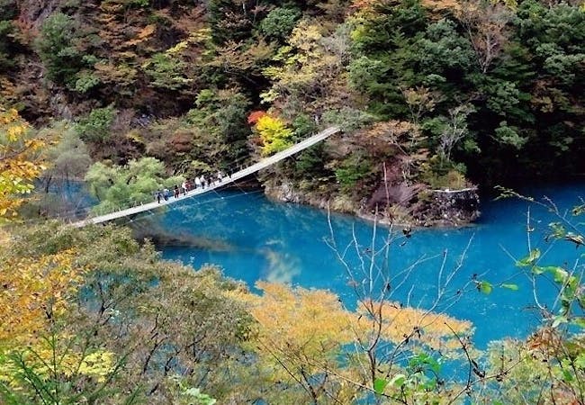 静岡紅葉21 静岡 秋の風物詩 紅葉を愉しむ 紅葉おすすめ人気スポット12選 一休 Comレストラン 静岡紅葉21 静岡 秋の風物詩 紅葉を愉しむ 紅葉おすすめ人気スポット12選 一休 Comレストラン