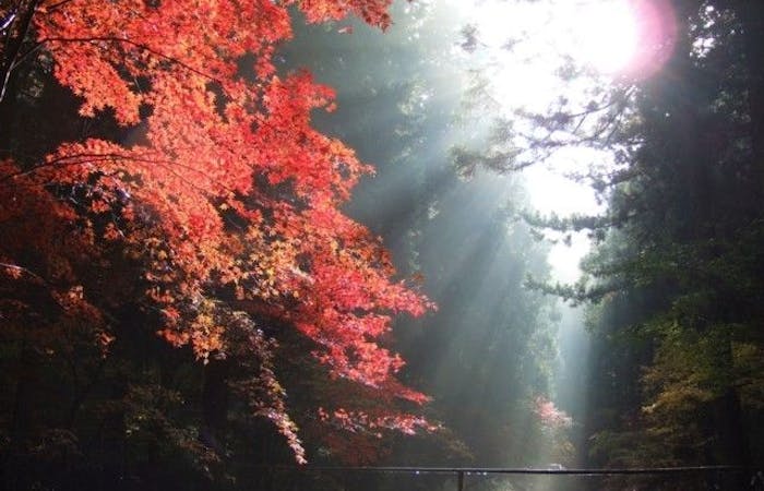 森町紅葉21 森町 秋の風物詩 紅葉を愉しむ 紅葉おすすめ人気スポット2選 一休 Comレストラン 森町紅葉21 森町 秋の風物詩 紅葉を愉しむ 紅葉おすすめ人気スポット2選 一休 Comレストラン