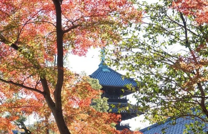 名古屋紅葉21 名古屋 秋の風物詩 紅葉を愉しむ 紅葉おすすめ人気スポット6選 一休 Comレストラン 名古屋紅葉21 名古屋 秋の風物詩 紅葉を愉しむ 紅葉おすすめ人気スポット6選 一休 Comレストラン
