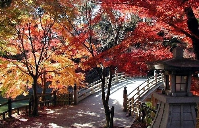 岡崎紅葉21 岡崎 秋の風物詩 紅葉を愉しむ 紅葉おすすめ人気スポット4選 一休 Comレストラン 岡崎紅葉21 岡崎 秋の風物詩 紅葉を愉しむ 紅葉おすすめ人気スポット4選 一休 Comレストラン