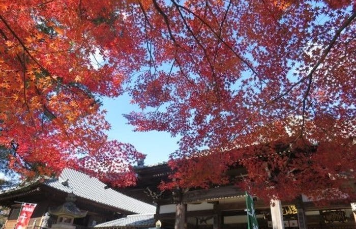 名古屋紅葉22 名古屋 秋の風物詩 紅葉を愉しむ 紅葉おすすめ人気スポット6選 一休 Comレストラン 名古屋紅葉22 名古屋 秋の風物詩 紅葉を愉しむ 紅葉おすすめ人気スポット6選 一休 Comレストラン