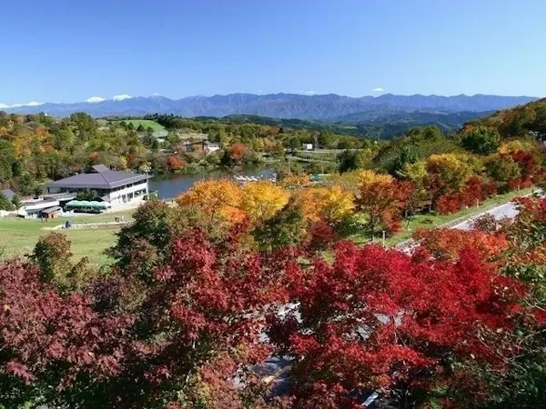 茶臼山高原 愛知 北設楽 人気紅葉スポット 一休 Comレストラン 茶臼山高原 愛知 北設楽 人気紅葉スポット 一休 Comレストラン