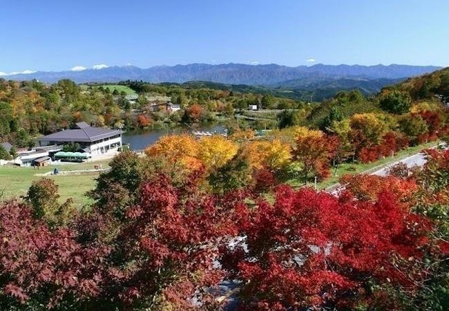 愛知紅葉21 愛知 秋の風物詩 紅葉を愉しむ 紅葉おすすめ人気スポット12選 一休 Comレストラン 愛知紅葉21 愛知 秋の風物詩 紅葉を愉しむ 紅葉おすすめ人気スポット12選 一休 Comレストラン