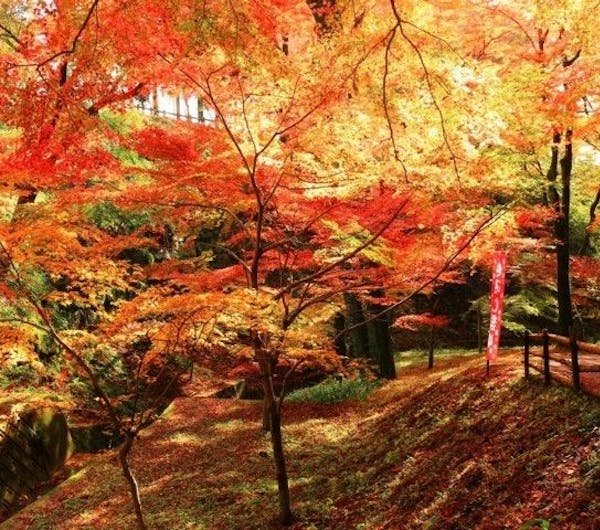 水沢もみじ谷 三重 四日市 人気紅葉スポット 一休 Comレストラン 水沢もみじ谷 三重 四日市 人気紅葉スポット 一休 Comレストラン