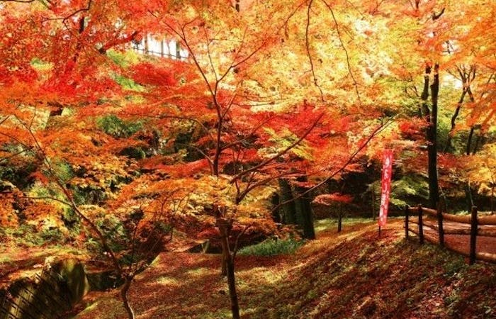 湯の山紅葉22 湯の山 秋の風物詩 紅葉を愉しむ 紅葉おすすめ人気スポット6選 一休 Comレストラン 湯の山紅葉22 湯の山 秋の風物詩 紅葉を愉しむ 紅葉おすすめ人気スポット6選 一休 Comレストラン