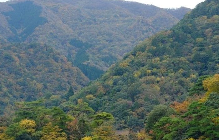 湯の山紅葉 湯の山 秋の風物詩 紅葉を愉しむ 紅葉おすすめ人気スポット6選 一休 Comレストラン