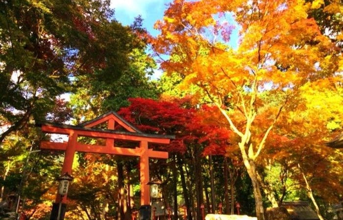 近江八幡 東近江紅葉21 近江八幡 東近江 秋の風物詩 紅葉を愉しむ 紅葉おすすめ人気スポット25選 一休 Comレストラン 近江八幡 東近江紅葉21 近江八幡 東近江 秋の風物詩 紅葉を愉しむ 紅葉おすすめ人気スポット25選 一休 Comレストラン