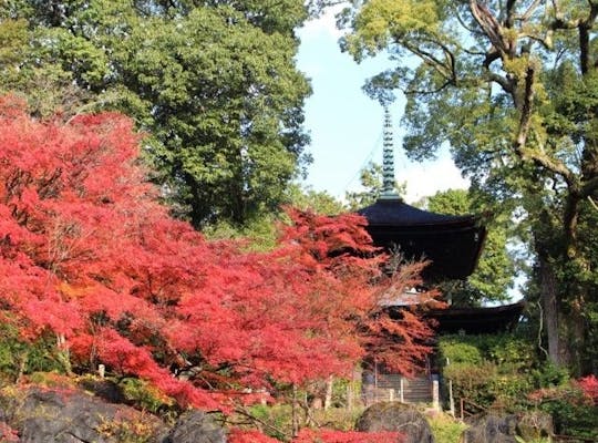 笠置山自然公園 京都 笠置 人気紅葉スポット 一休 Comレストラン 笠置山自然公園 京都 笠置 人気紅葉スポット 一休 Comレストラン