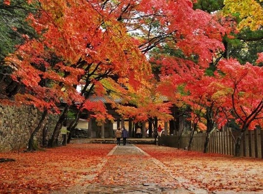 水沢もみじ谷 三重 四日市 人気紅葉スポット 一休 Comレストラン 水沢もみじ谷 三重 四日市 人気紅葉スポット 一休 Comレストラン
