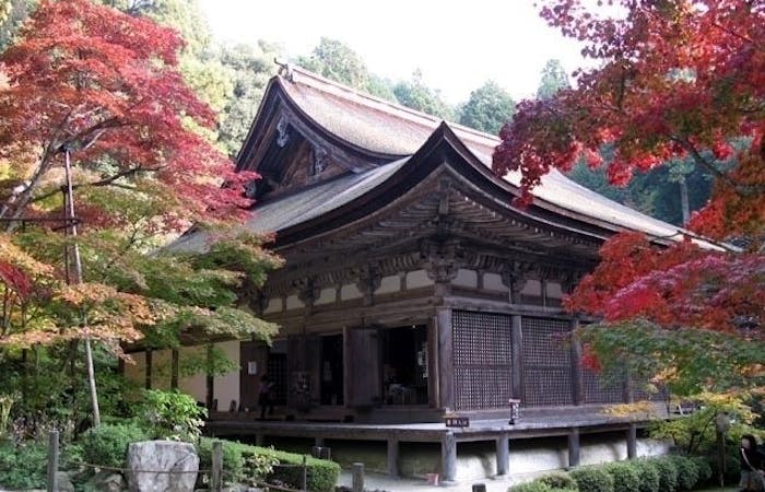 彦根紅葉21 彦根 秋の風物詩 紅葉を愉しむ 紅葉おすすめ人気スポット8選 一休 Comレストラン