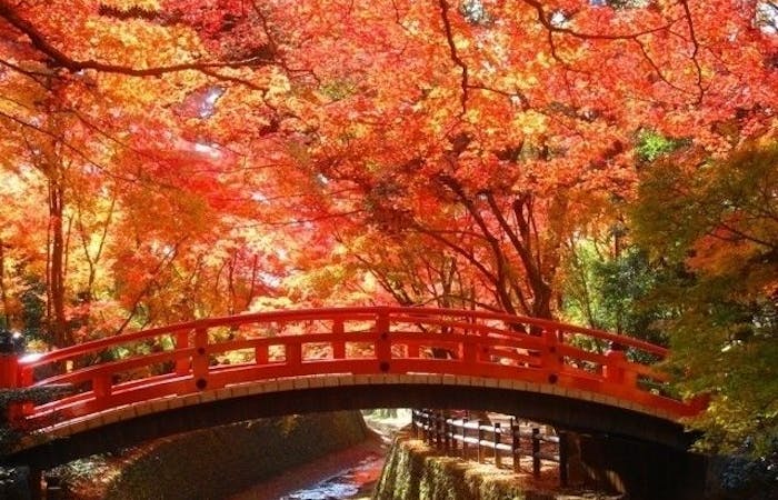 伏見紅葉21 伏見 秋の風物詩 紅葉を愉しむ 紅葉おすすめ人気スポット30選 一休 Comレストラン 伏見紅葉21 伏見 秋の風物詩 紅葉を愉しむ 紅葉おすすめ人気スポット30選 一休 Comレストラン