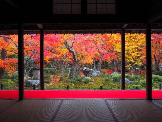 圓光寺 | 京都 洛北 人気紅葉スポット - [一休.comレストラン]