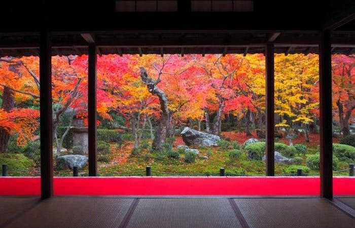 洛北紅葉22 洛北 秋の風物詩 紅葉を愉しむ 紅葉おすすめ人気スポット30選 一休 Comレストラン 洛北紅葉22 洛北 秋の風物詩 紅葉を愉しむ 紅葉おすすめ人気スポット30選 一休 Comレストラン