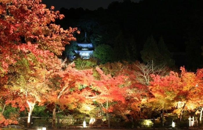 蹴上紅葉21 蹴上 秋の風物詩 紅葉を愉しむ 紅葉おすすめ人気スポット30選 一休 Comレストラン 蹴上紅葉21 蹴上 秋の風物詩 紅葉を愉しむ 紅葉おすすめ人気スポット30選 一休 Comレストラン