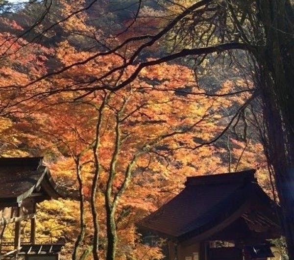 貴船神社 京都 貴船 人気紅葉スポット 一休 Comレストラン