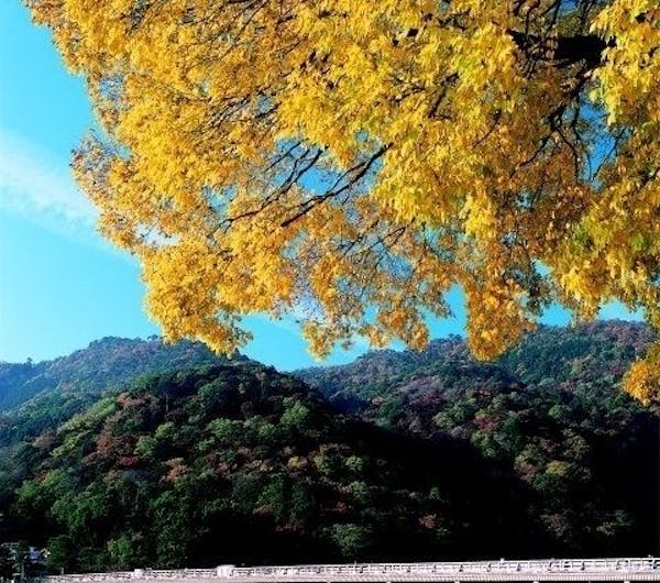 嵐山公園 京都 嵐山 人気紅葉スポット 一休 Comレストラン