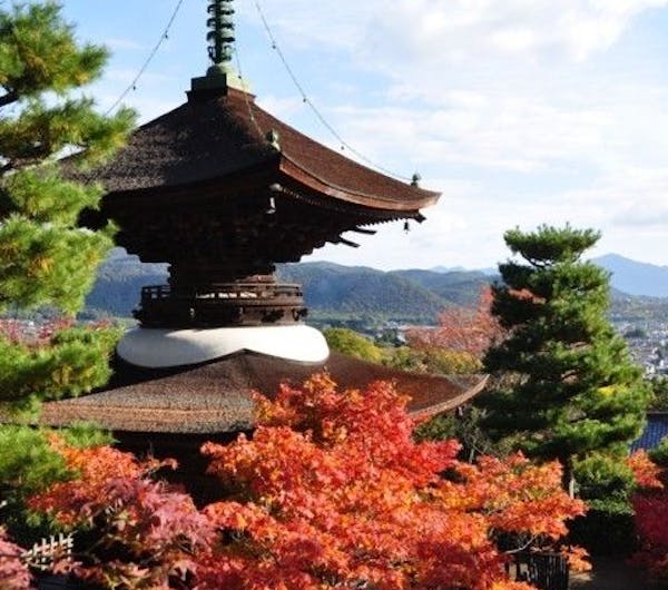 常寂光寺 京都 嵐山 人気紅葉スポット 一休 Comレストラン