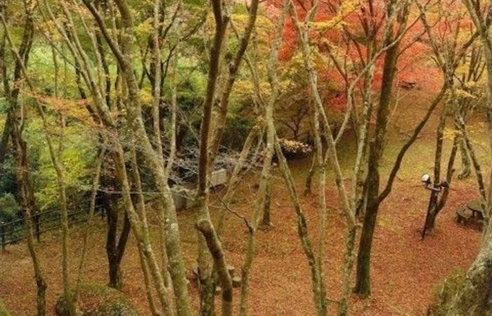 笠置紅葉22 笠置 秋の風物詩 紅葉を愉しむ 紅葉おすすめ人気スポット30選 一休 Comレストラン 笠置紅葉22 笠置 秋の風物詩 紅葉を愉しむ 紅葉おすすめ人気スポット30選 一休 Comレストラン