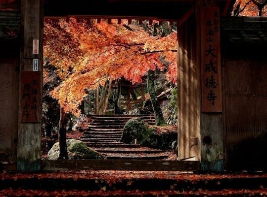 犬鳴山の紅葉 大阪 泉佐野 人気紅葉スポット 一休 Comレストラン 犬鳴山の紅葉 大阪 泉佐野 人気紅葉スポット 一休 Comレストラン