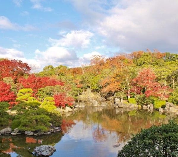 万博記念公園 大阪 吹田 人気紅葉スポット 一休 Comレストラン
