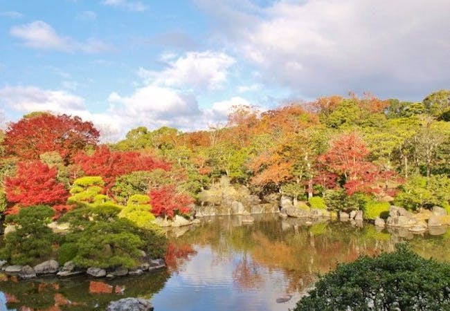 大阪紅葉21 大阪 秋の風物詩 紅葉を愉しむ 紅葉おすすめ人気スポット30選 一休 Comレストラン 大阪紅葉21 大阪 秋の風物詩 紅葉を愉しむ 紅葉おすすめ人気スポット30選 一休 Comレストラン
