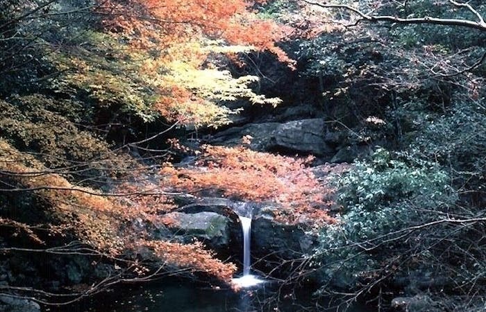泉佐野紅葉21 泉佐野 秋の風物詩 紅葉を愉しむ 紅葉おすすめ人気スポット13選 一休 Comレストラン 泉佐野紅葉21 泉佐野 秋の風物詩 紅葉を愉しむ 紅葉おすすめ人気スポット13選 一休 Comレストラン