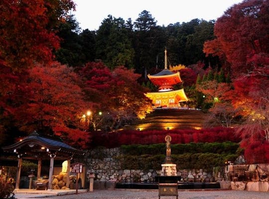 万博記念公園 大阪 吹田 人気紅葉スポット 一休 Comレストラン